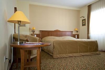 Hotel Aranyhomok Kecskemét - business szoba a kecskeméti wellness szállodában - ✔️ Hotel Aranyhomok**** Kecskemét - Akciós wellness hotel Kecskemét belvárosában